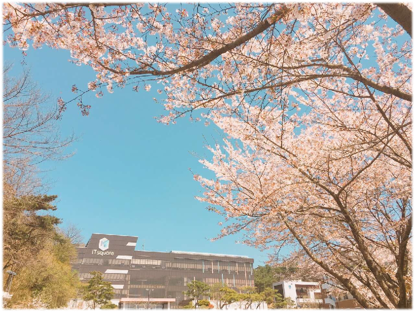 韩国白石大学2
