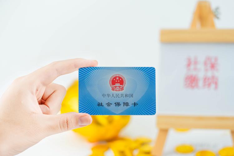 毕业生的社保必修课：守护你的未来，从第一份工作开始！